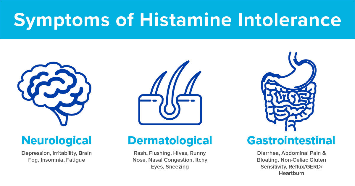 Educational graphic showing how the diamine oxidase (DAO) enzyme breaks down dietary histamine