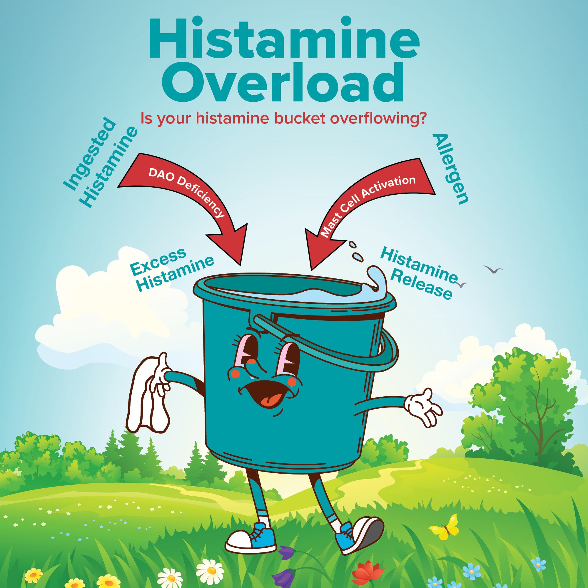 Histamine Complete - Histamine Digest Seasonal Support & Dietary Histamine Support A