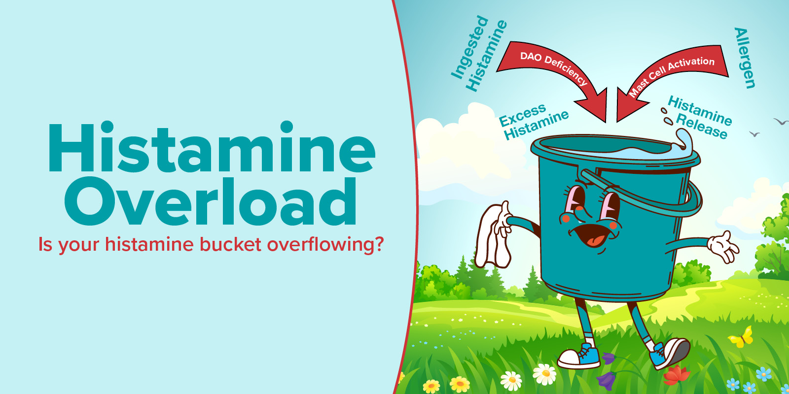 OmneDiem Histamine Digest Histamine Complete Overload