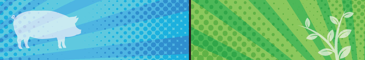 1200x200_Porcine_vs_Pea_recomendation OmneDiem Histamine Digest Histamine Intolerance Diamine Oxidase DAO Porcine Derived Pea Derived plant based vegan