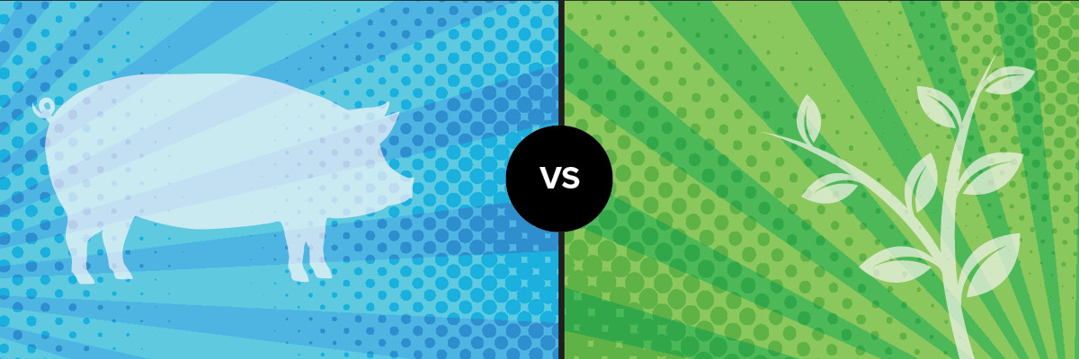 1200x400_Porcine_vs_Pea OmneDiem Histamine Digest Histamine Intolerance Diamine Oxidase DAO Porcine Derived Pea Derived plant based