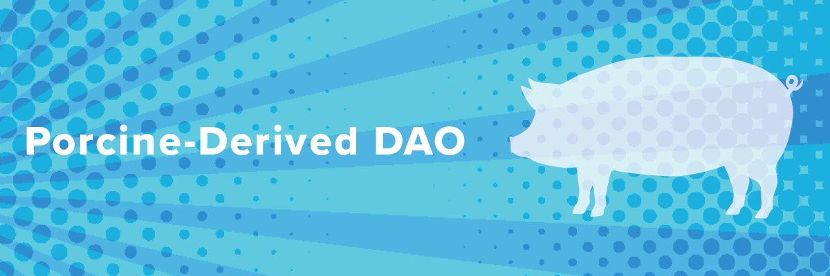 1200x400_Porcine_vs_Pea2 OmneDiem Histamine Digest Histamine Intolerance Diamine Oxidase DAO Porcine Derived